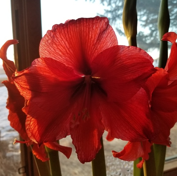 Meet your Posher, Sherry - Picture 1 of 1